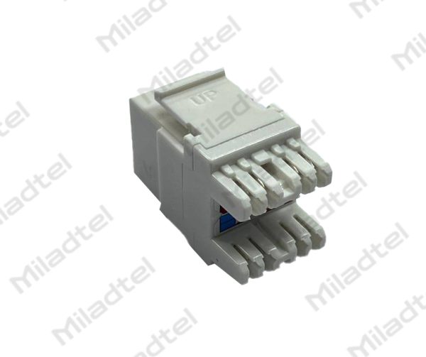 کیستون شبکه شاتلدار cat6 کد ۲۰۲۲