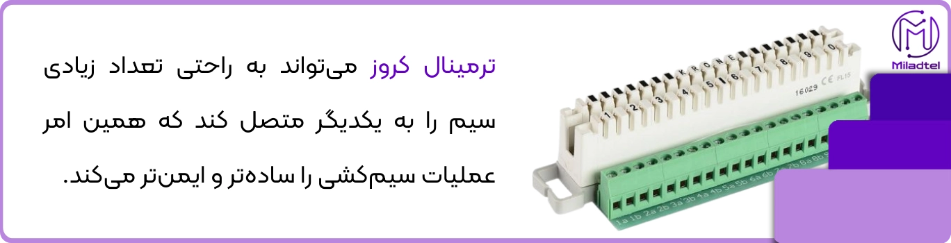 ترمینال کروز